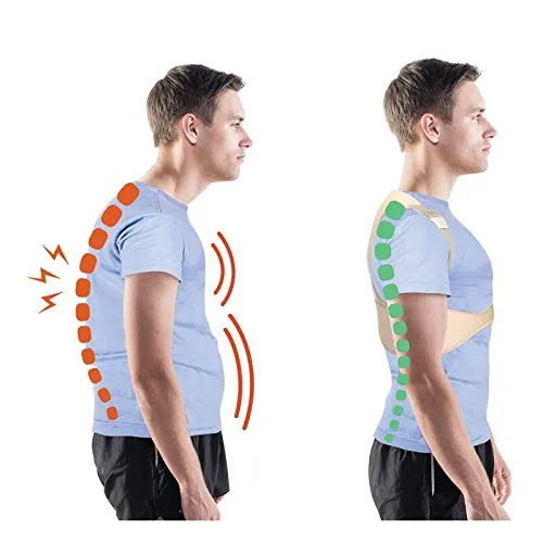 Identités correcteur posture ceinture dorsale L/XL respirante