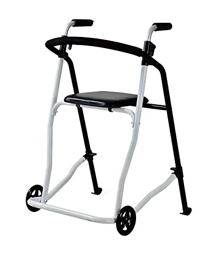 Identités Evolution déambulateur 2 roues 136 kg