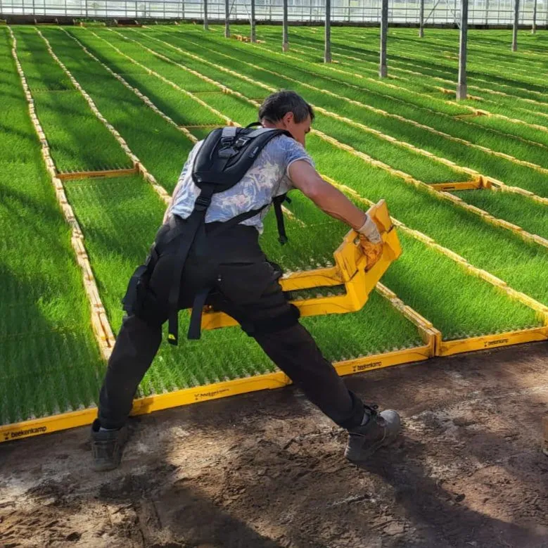 Noonee Edge exosquelette dos passif 0,95 kg
