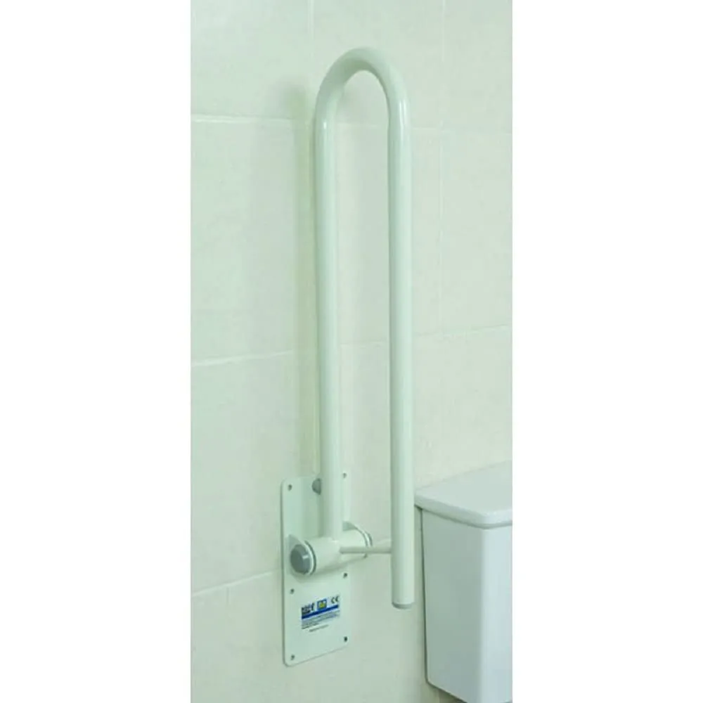 Identités Bras d'Appui WC Relevable 55 cm porte-papier 32 mm