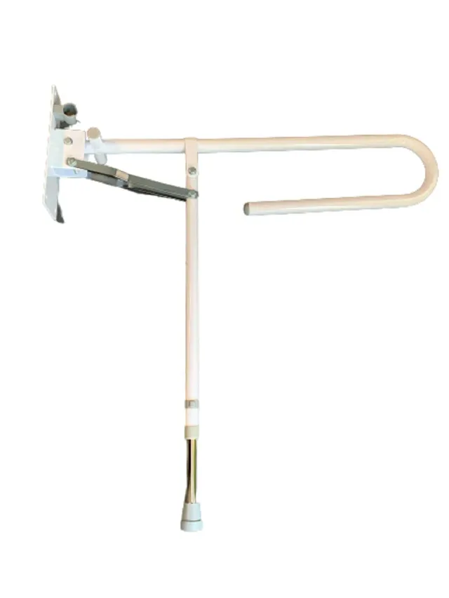 Identités Bras d'Appui WC Relevable sur Pied 100 kg