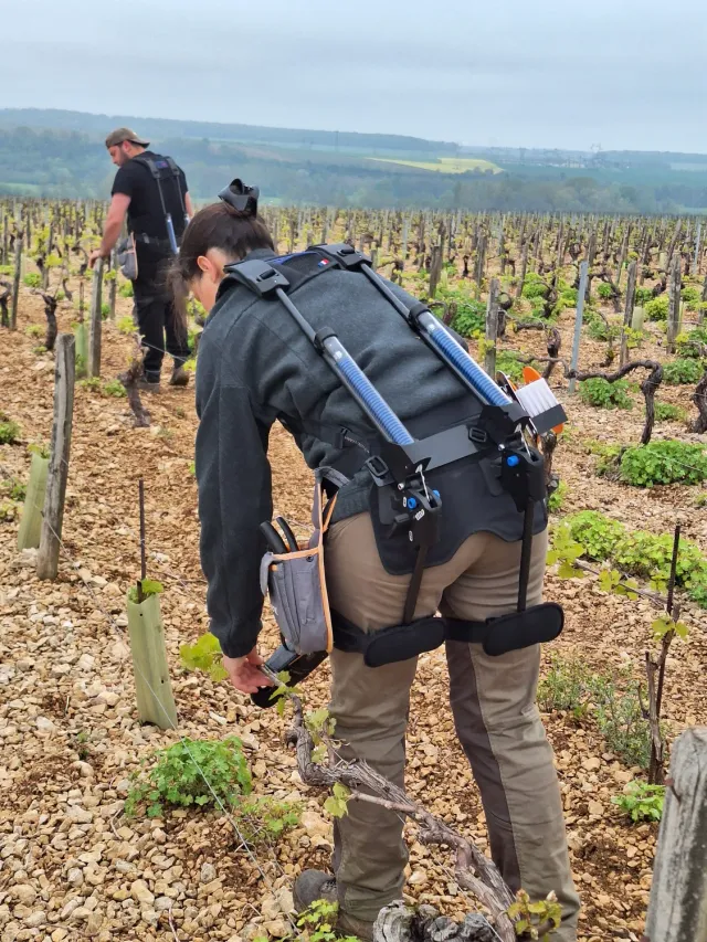 Exosafe L'Exoviti exosquelette dos -40% charge