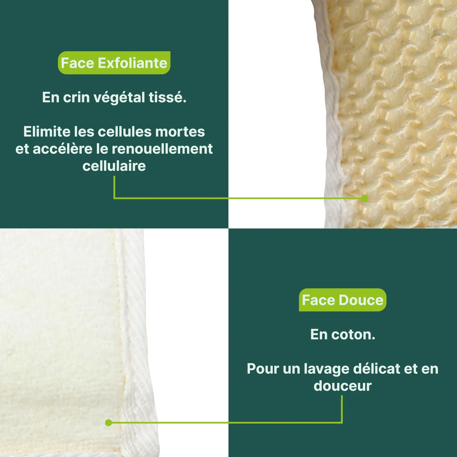 Identités Lanière Crin bande exfoliante dos 70 cm
