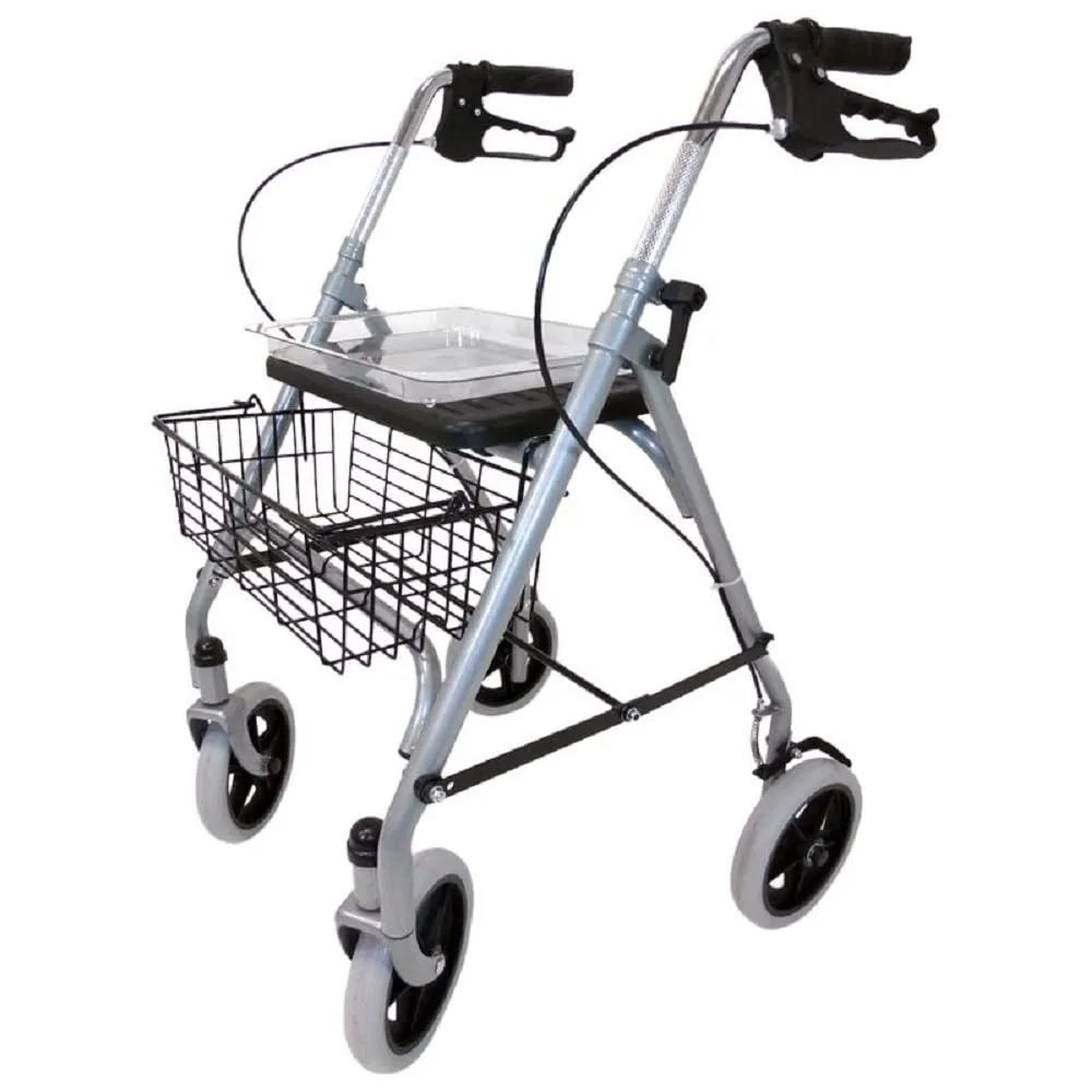 Identités Silver déambulateur 4 roues 120 kg avec assise