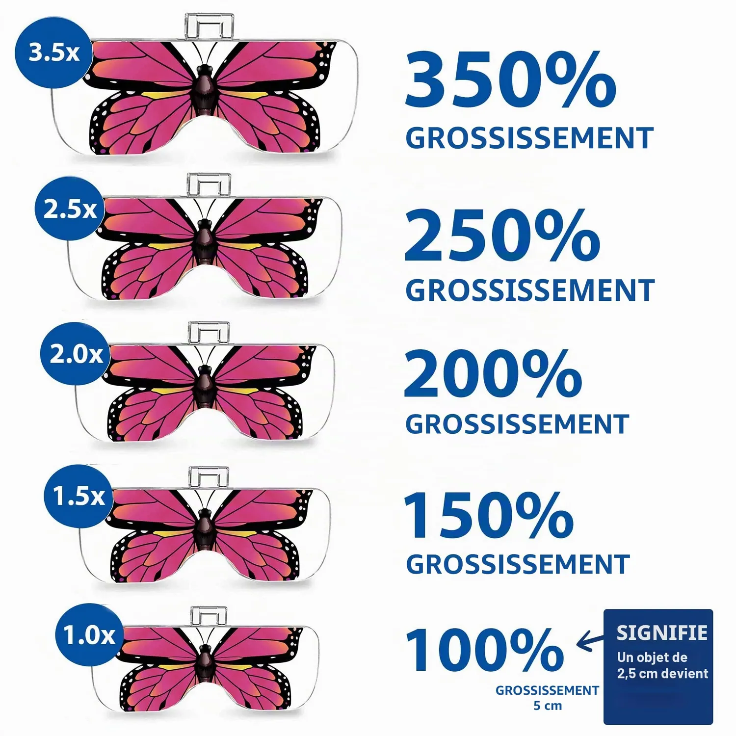 VisionAid Loupe bandeau lumineux mains libres 5 lentilles