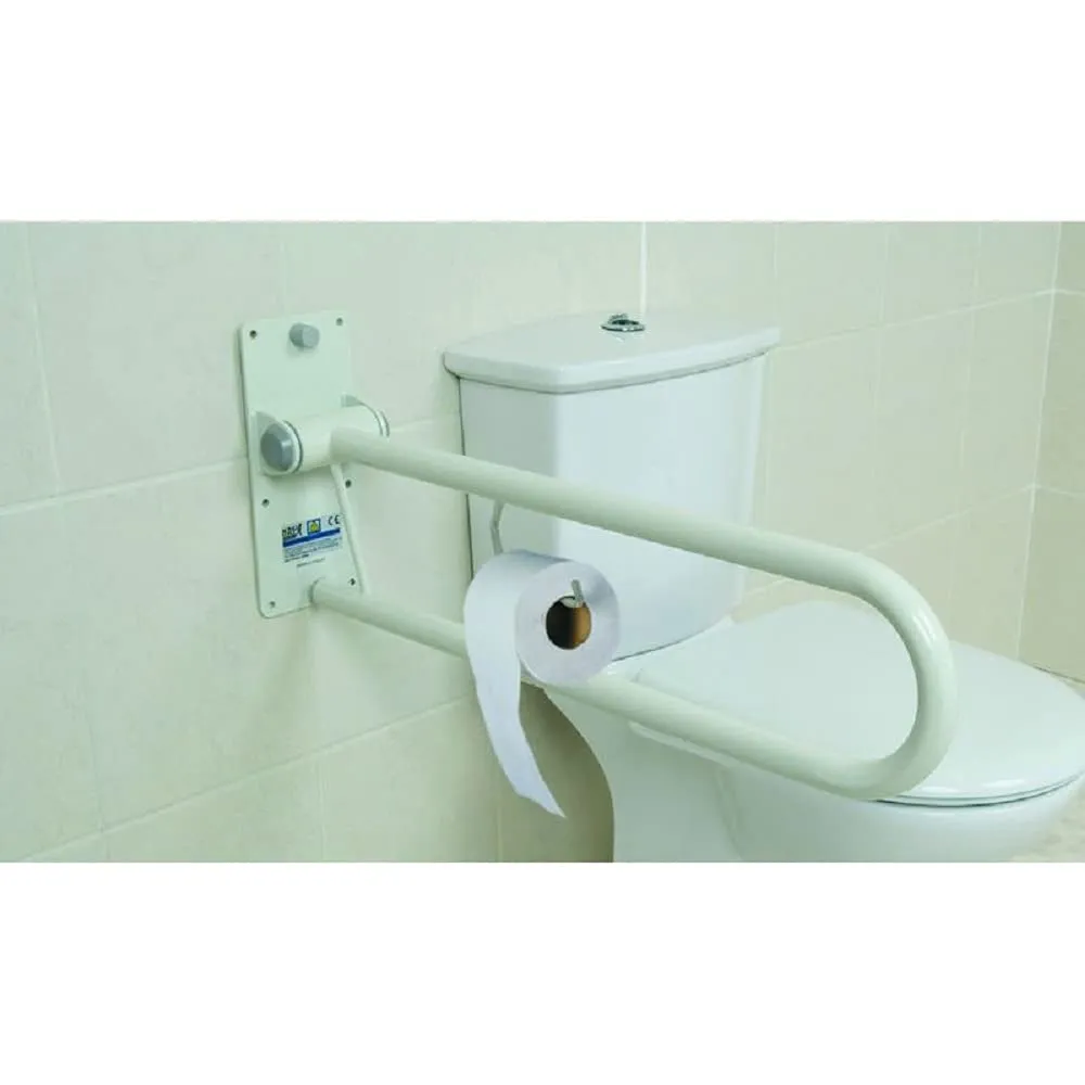 Identités Bras d'Appui WC Relevable 55 cm porte-papier 32 mm