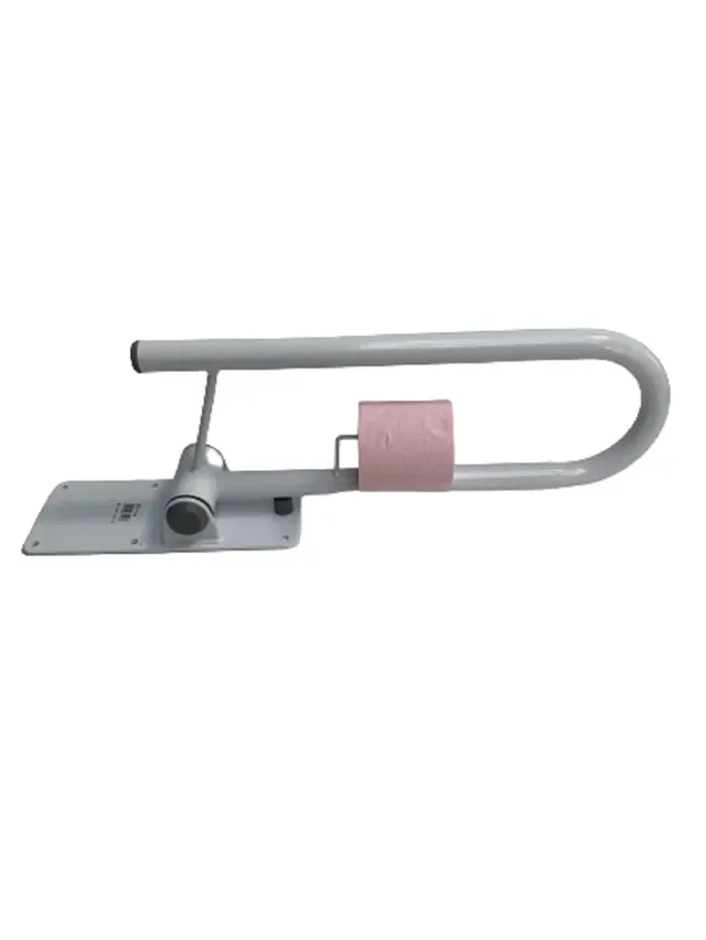 Identités Bras d'Appui WC Relevable 55 cm porte-papier 32 mm