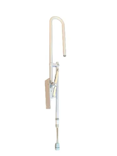 Identités Bras d'Appui WC Relevable sur Pied 100 kg